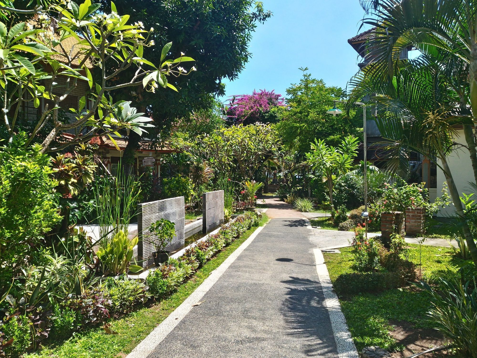 Lovina Beach Hotel Pabean Buleleng Buitenkant foto